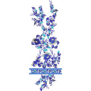 Beautiful Neck Embroidery NED6301-25
