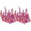 Lace Embroidery Design LED4074-25