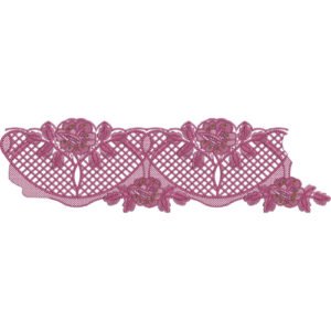 Floral Lace Embroidery Border Design with Mesh Lace Pattern and Decorative Rose Motifs