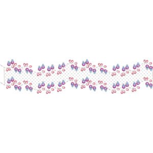 Floral Lace Embroidery Border Design with Delicate Blossom Motifs and Decorative Vine Pattern